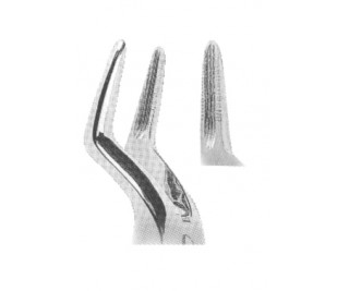 Extracting Forceps With Anatomically Shaped Handle